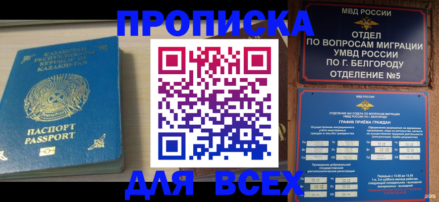 временная регистрация законно в Химках