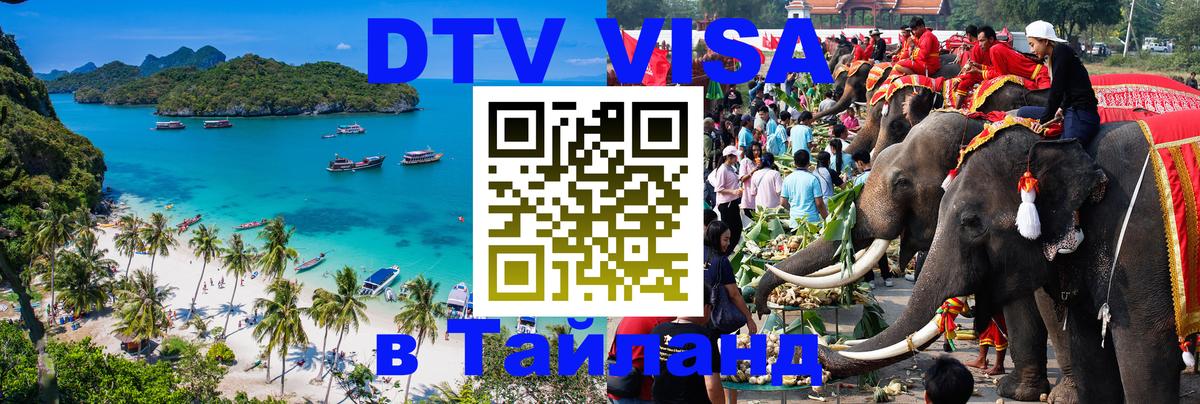 Оформление DTV визы под ключ: стоимость и тарифы, только загранпаспорт - 10.12.2025 